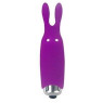 Вібропуля Adrien Lastic-Pocket Rabbit Purple