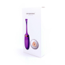 Віброяйце з пультом дистанційного керування - Vibrating Silicone Love EGG USB