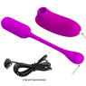 Комплект з віброяйця і вакуумного стимулятора Pretty Love CURUPIRA Multifunctional 2in1