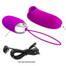 Комплект з віброяйця і вакуумного стимулятора Pretty Love ORTHUS Multifunctional 2in1
