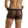 Чоловічі прозорі боксери Passion 032 SHORT JAMES S/M Black, сітка